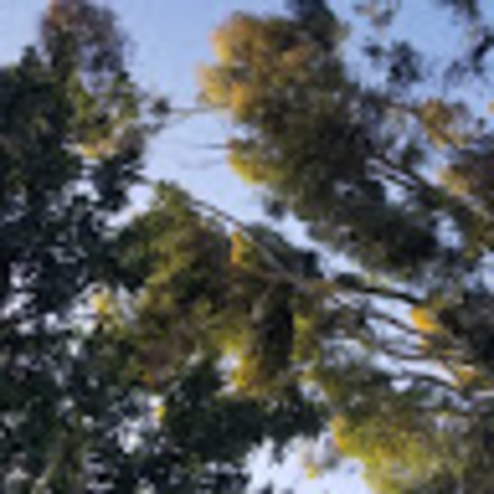 Meet your Posher, Scott